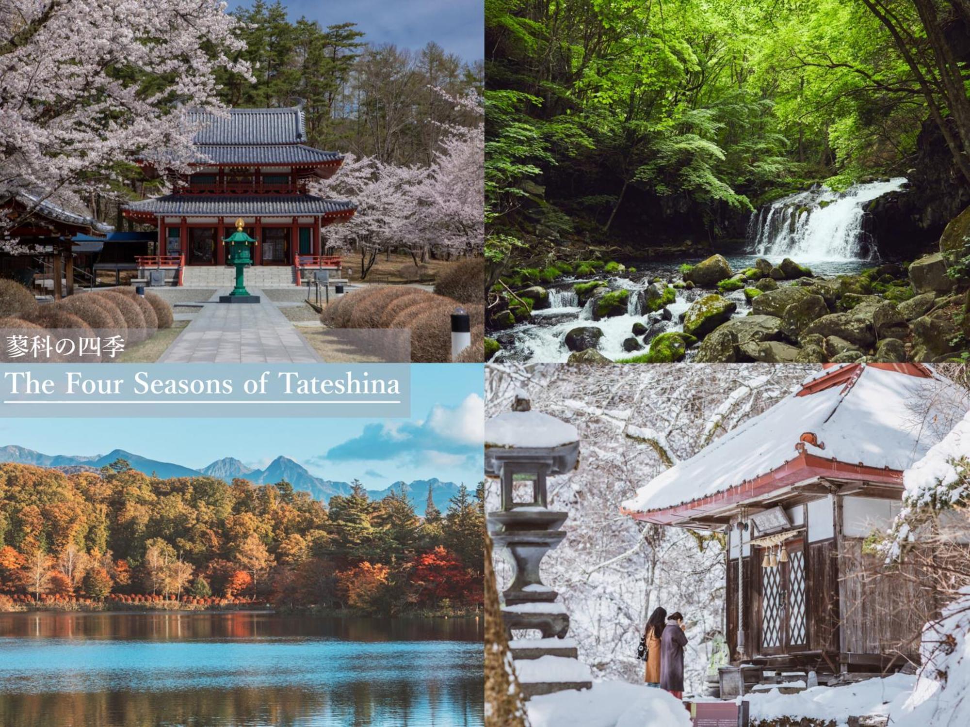 茅野 蓼科亲汤温泉日式旅馆酒店 外观 照片
