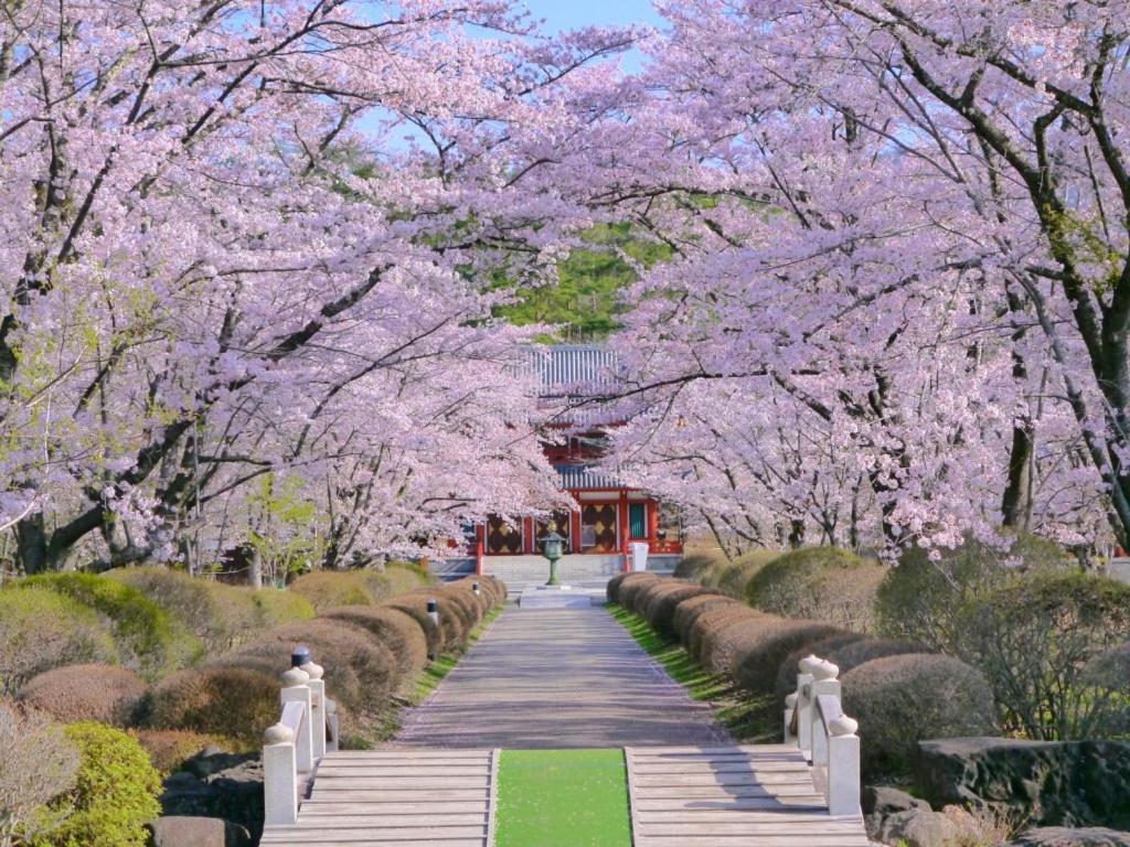 茅野 蓼科亲汤温泉日式旅馆酒店 外观 照片